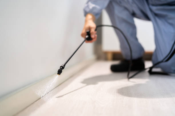 Licensed Mosquito Control service in Harper, KS - Show Me Pest Control