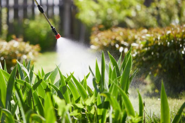 24/7 Emergency Mosquito Control experts in Harper, KS